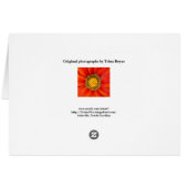 A Little Honey Bee Cards (Back Horizontal)
