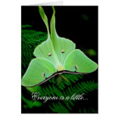 A Little Irish (Front)