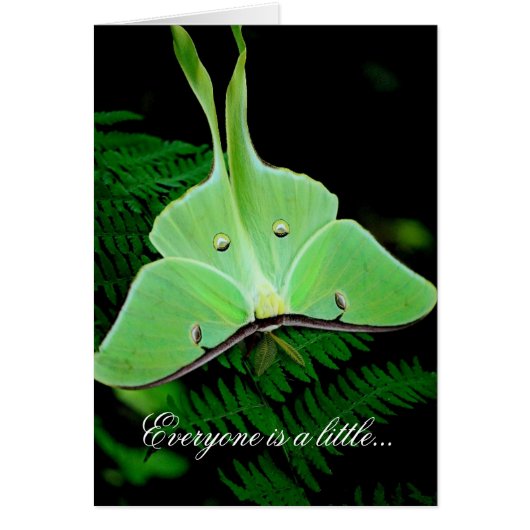 A Little Irish Cards (Front)