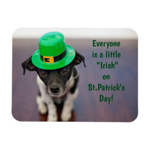 A Little Irish Pup Magnet
