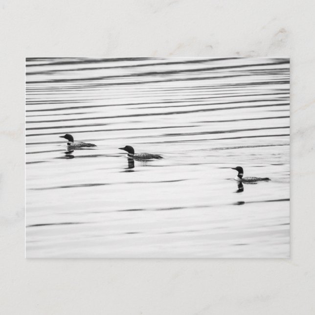 A Little Loony - Postcard (Front)