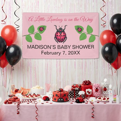 A Little Love Bug Is On The Way Ladybug