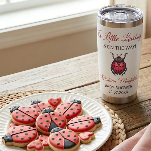 A Little Love Bug Is On The Way Ladybug