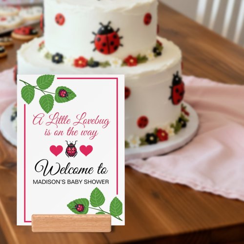 A Little Love Bug Is On The Way Ladybug Welcome