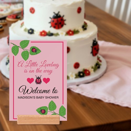 A Little Love Bug Is On The Way Ladybug Welcome