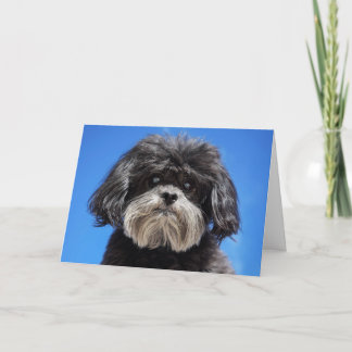 A Little Love Card