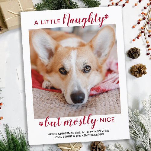 A Little Naughty Personalized Dog Pet Photo Holiday Postcard