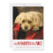 A Little Naughty | Red  | Vertical Photo