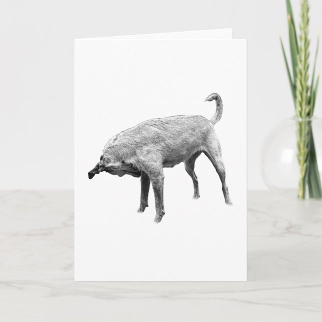 A Little Nose-Check Cheer Card (Front)