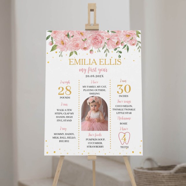 A Little Onederful 1st Birthday Milestone Sign (Creator Uploaded)