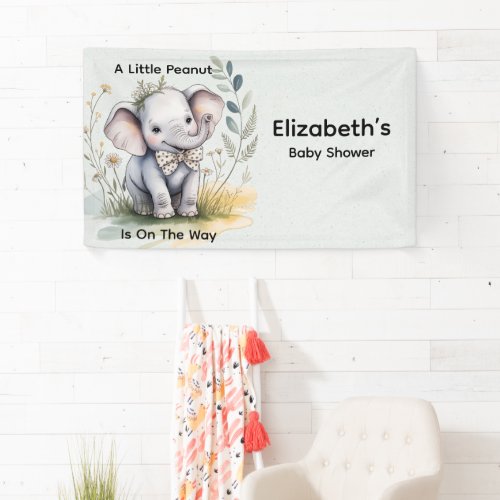 A Little Peanut Is On The Way Boy Baby Shower Banner
