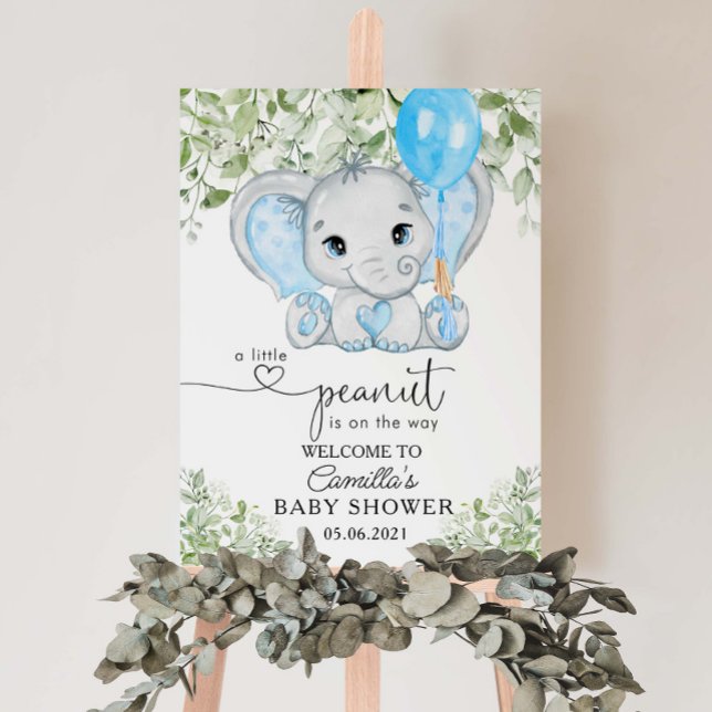 A Little Peanut Is On The Way Boy Baby Shower Foam Board (Creator Uploaded)