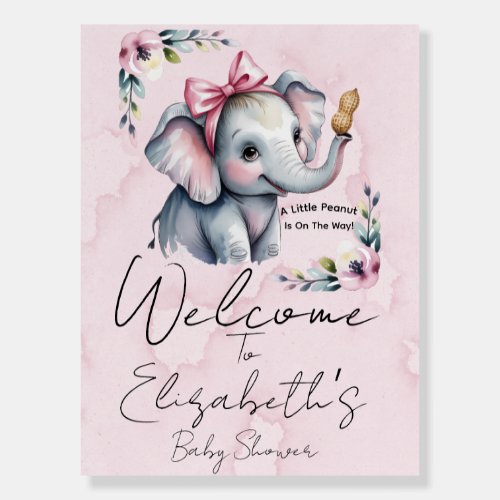 A Little Peanut Is On The Way Welcome  Foam Board