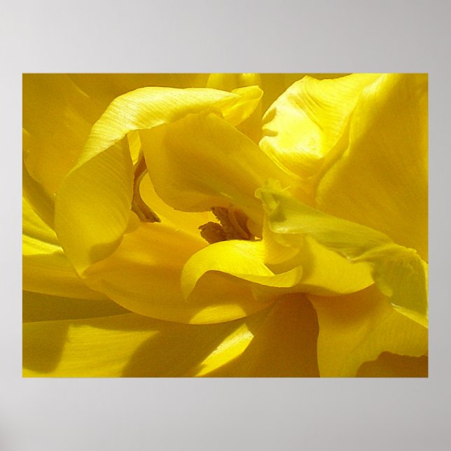 A little peep poster (Front)