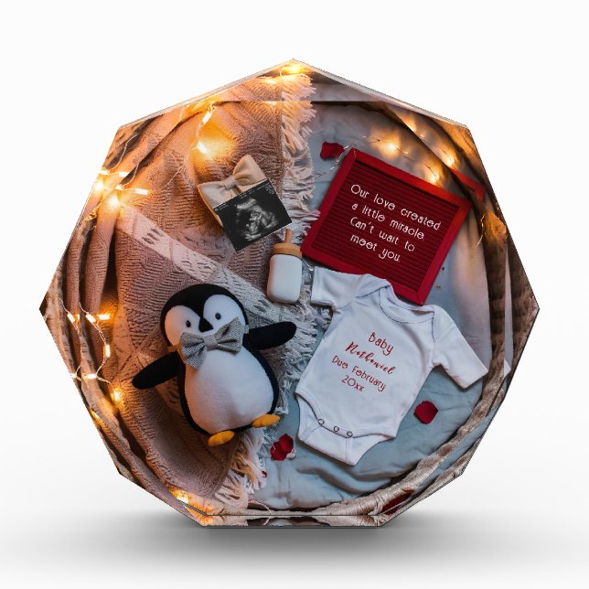 A little penguin love pregnancy announcement  photo block (Front)