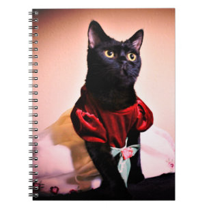A Little Princess Notebook