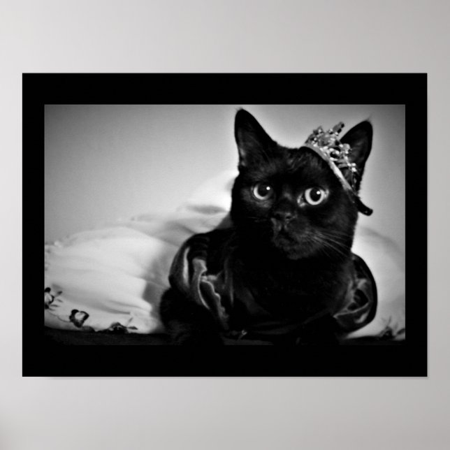 A Little Princess  Poster (Front)