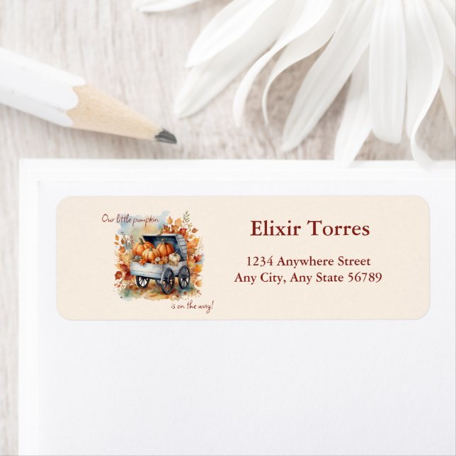 A Little Pumpkin Fall Baby Shower | Gender Neutral Label (Insitu)