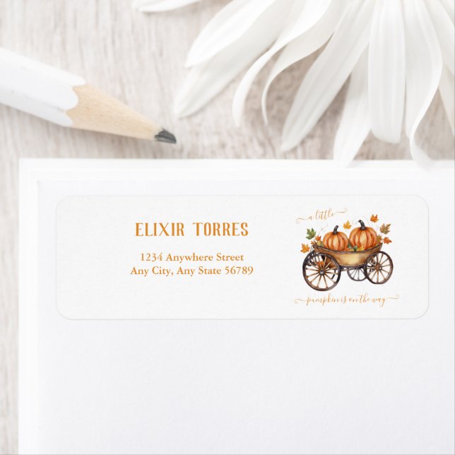 A Little Pumpkin Fall Baby Shower Gender Neutral Label (Insitu)