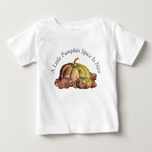 A Little Pumpkin Spice is nice Baby T_Shirt