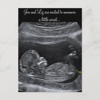 A Little Secret ~ Pregnancy Announcement