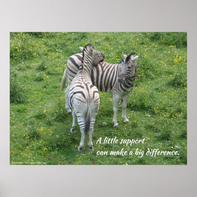 A little support can make a big difference. Poster (Front)