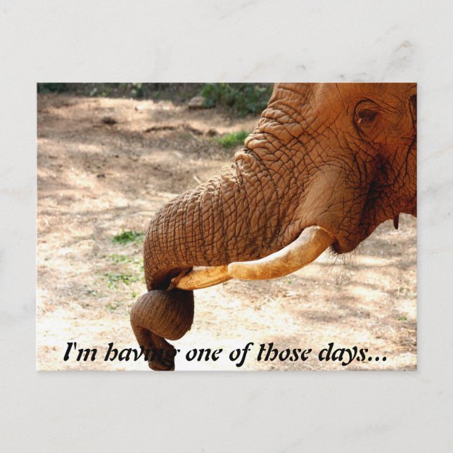A little Twisted Postcard (Front)