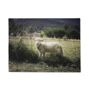 a little white lamb behind a fence in a field doormat
