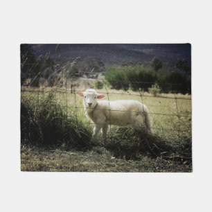 a little white lamb behind a fence in a field doormat