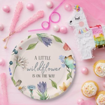 Baby Pink Paper Plates – 8 Zoll (22,8 Cm) Einweg-Pappteller In Zartem Rosa