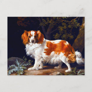 A Liver and White Charle Spaniel  by George Stubbs Postcard