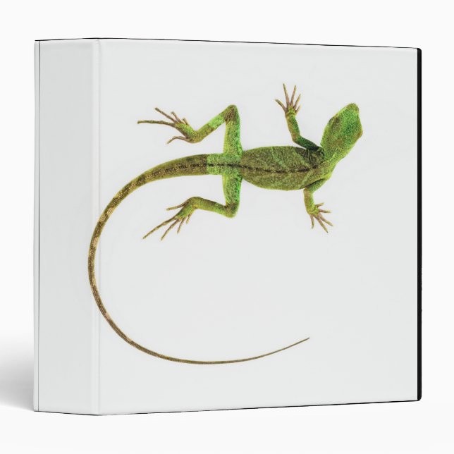 A lizard on pure white ground binder (Front/Spine)