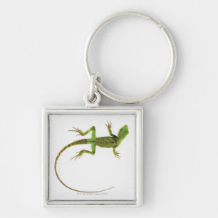 A lizard on pure white ground keychain