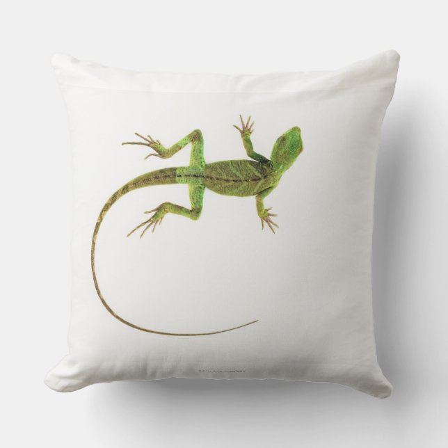 A lizard on pure white ground throw pillow (Front)