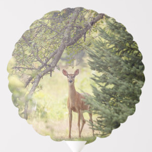 A Lone Deer  Balloon