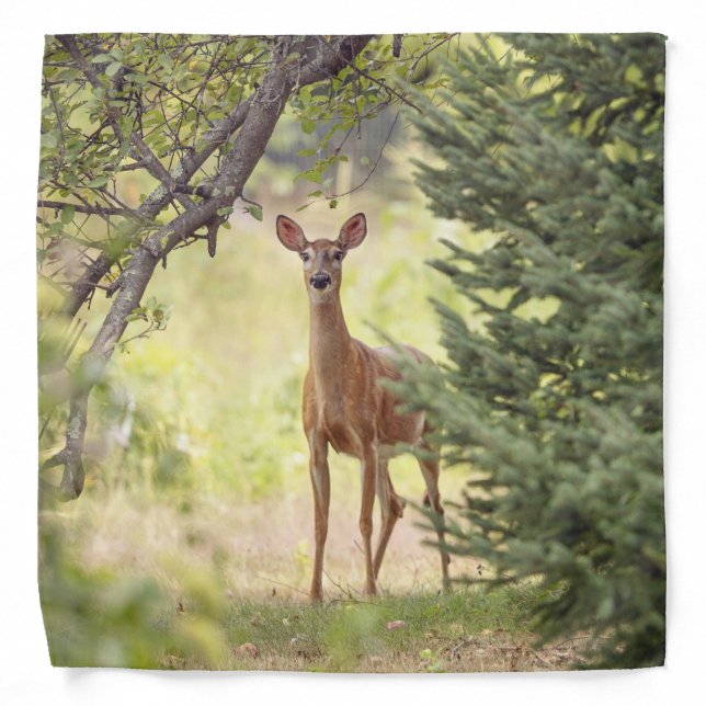 A Lone Deer  Bandana (Front)
