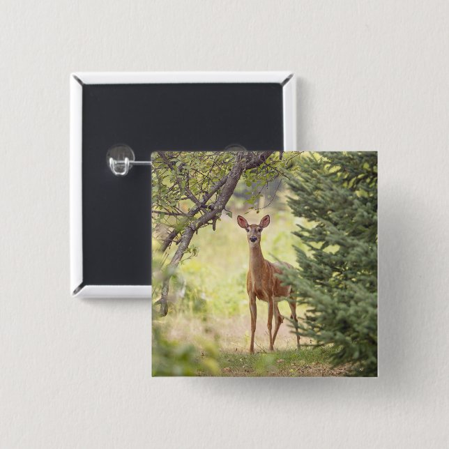 A Lone Deer  Button (Front & Back)