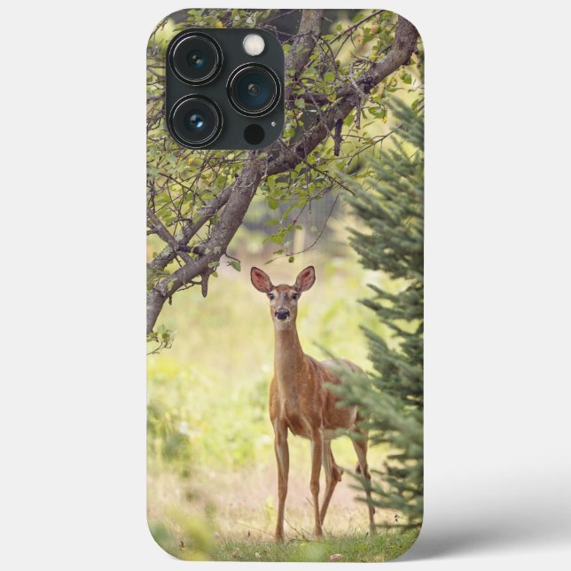 A Lone Deer  Case-Mate iPhone Case (Back)