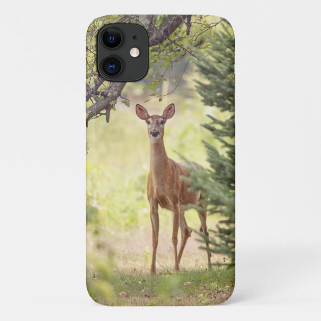 A Lone Deer  Case-Mate iPhone Case (Back)