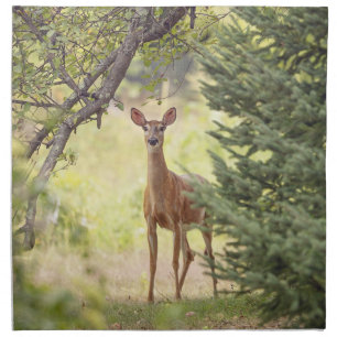 A Lone Deer Cloth Napkin