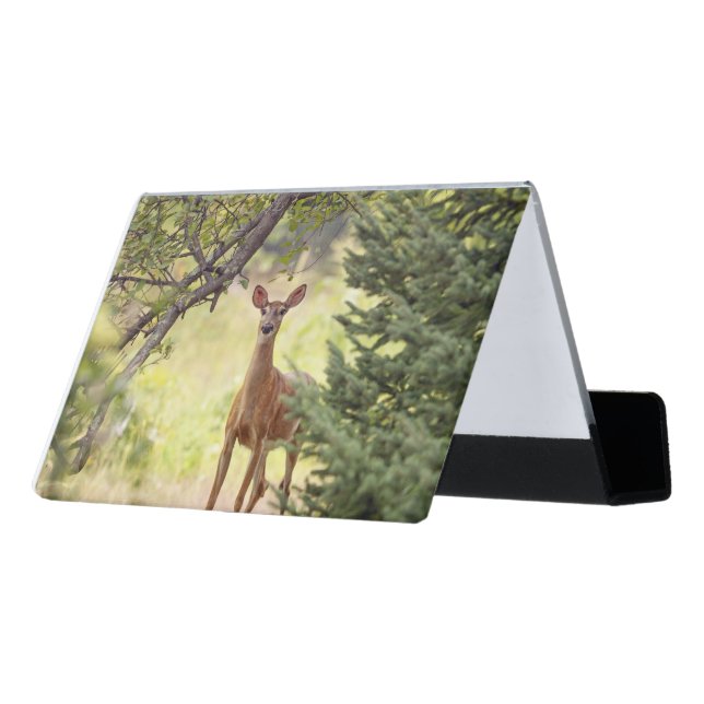 A Lone Deer  Desk Business Card Holder (Angled Back)