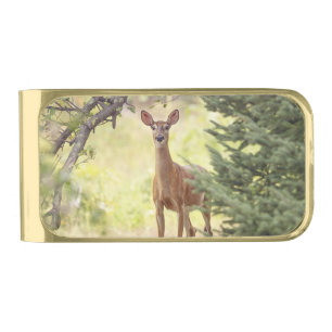 A Lone Deer Gold Finish Money Clip