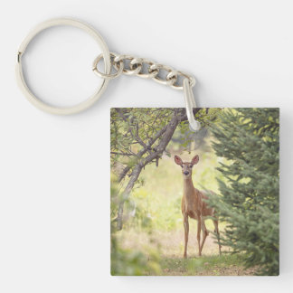 A Lone Deer Keychain