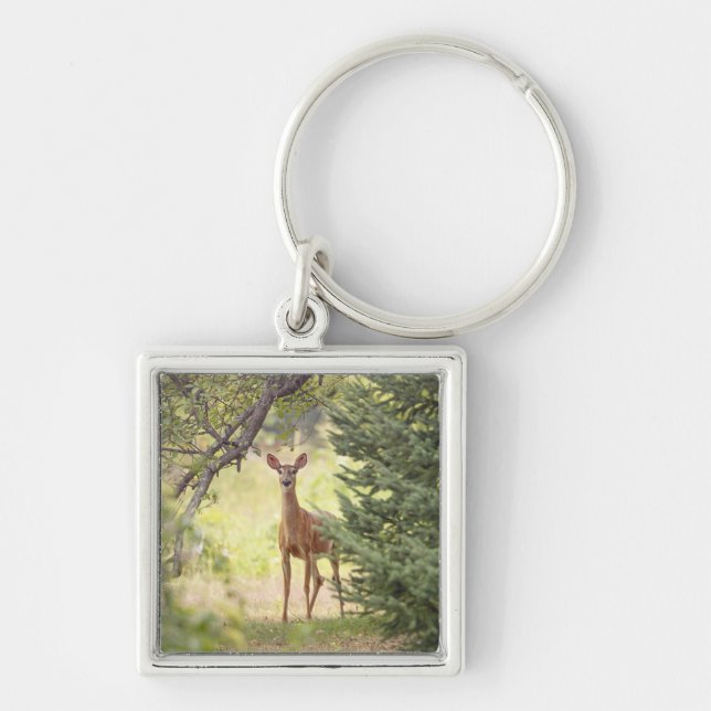 A Lone Deer  Keychain (Front)