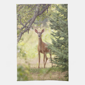 A Lone Deer  Kitchen Towel