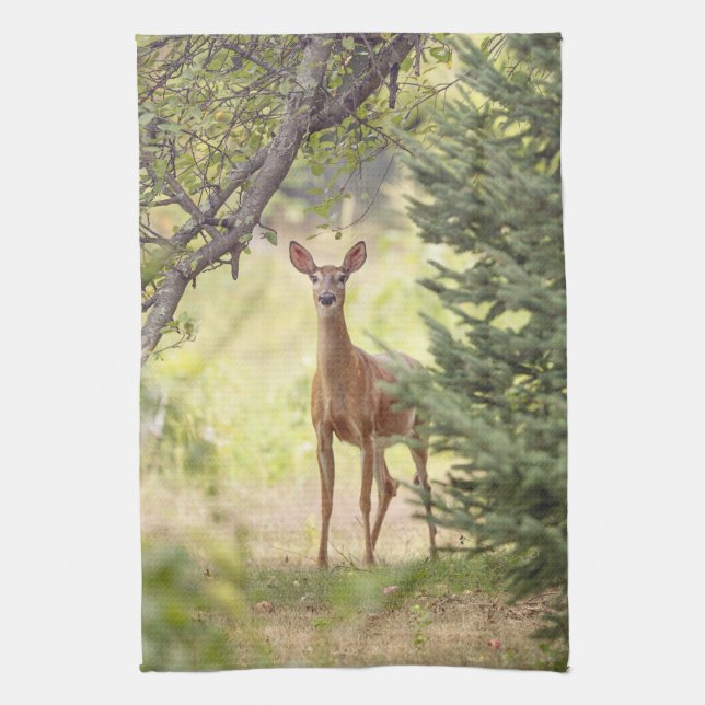 A Lone Deer  Kitchen Towel (Vertical)