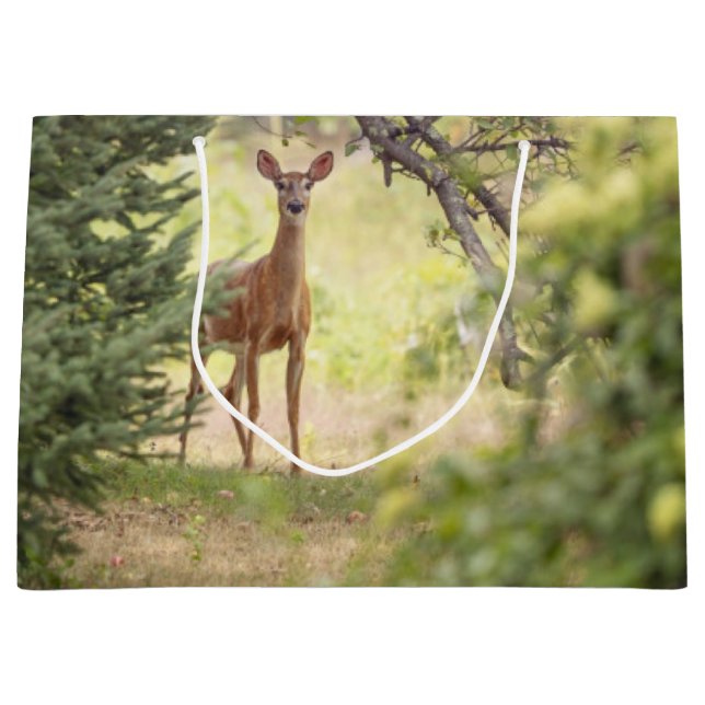 A Lone Deer  Large Gift Bag (Front)