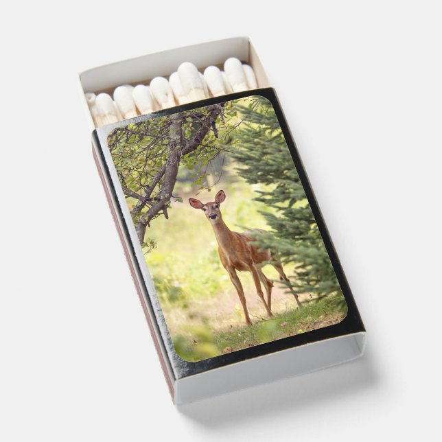 A Lone Deer  Matchboxes (Front Open)