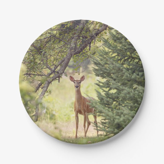 A Lone Deer  Paper Plates (Front)