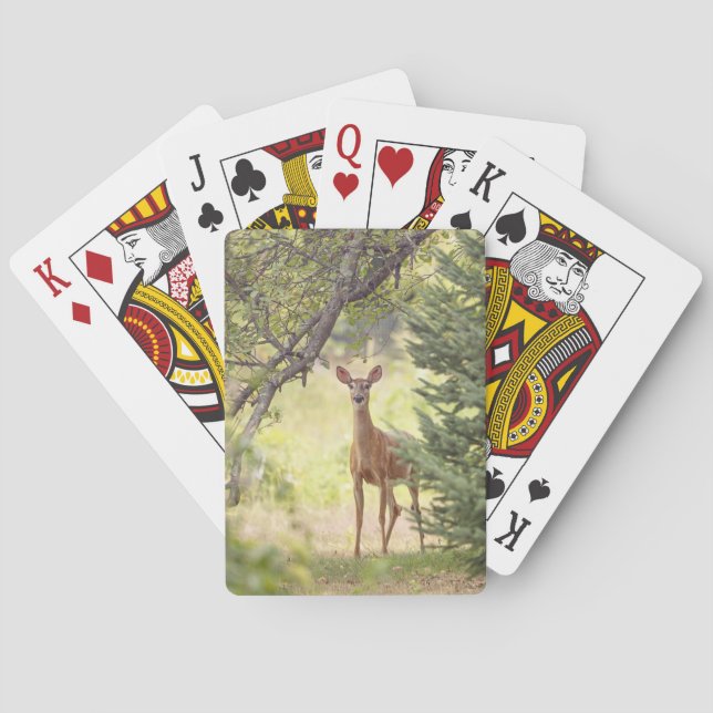 A Lone Deer  Poker Cards (Back)